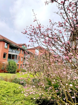 Der Frühling klopft an im Birkenhof Wohnstift Kirchrode